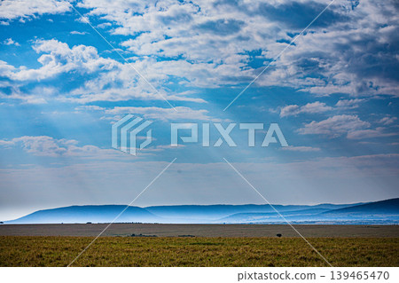 Maasai Mara National Game Reserve Park Narok County Kenya East Africa Savannah Grasslands Wilderness Landscapes Panoramic Scenic Views Wild Wildlife Animals Great Rift Valley Lions Sunset Sunrise Adve 139465470
