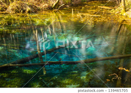 Eastern Hokkaido 2025 Autumn - Kami-no-ko Pond in Kiyosato - 02 139465705