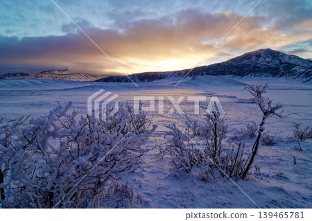 A winter morning in Kusasenri, Aso, Kumamoto Prefecture 139465781