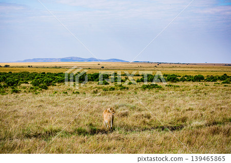 Kenya Photographers By Antony Trivet Photography 139465865