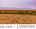 Kenya Photographers By Antony Trivet Photography 139465903