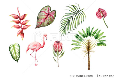 Tropical watercolor set. Ravenala madagascariensis, monstera, palm, protea calladium, red anthurium, heliconia flower. Hand drawn isolated Pink flamingo bird, illustrations on transparent background 139466362