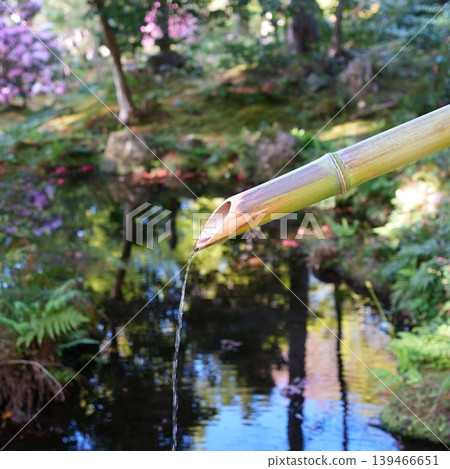 Japanese garden Japanese garden 139466651