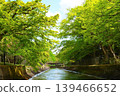 與新綠色的風景 139466652