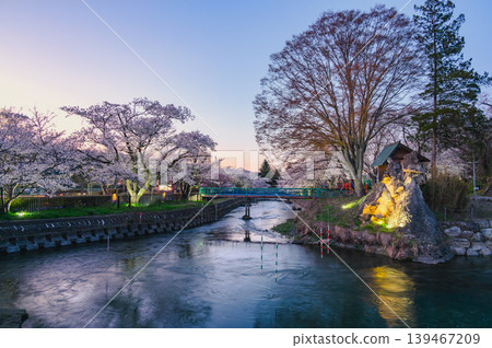 [Akashina Ryumonbuchi Cherry Blossom Festival] Maekawa River and Magic Hour [Akashina, Azumino City] 139467209