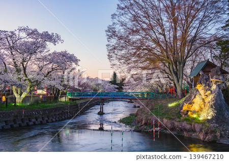 [Akashina Ryumonbuchi Cherry Blossom Festival] Maekawa River and Magic Hour [Akashina, Azumino City] 139467210