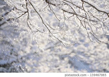 Winter landscape Winter landscape 139467865