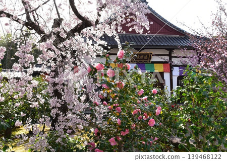 法念寺,熊谷山,嵐山,京都 法念寺,熊谷山,嵐山,京都 139468122