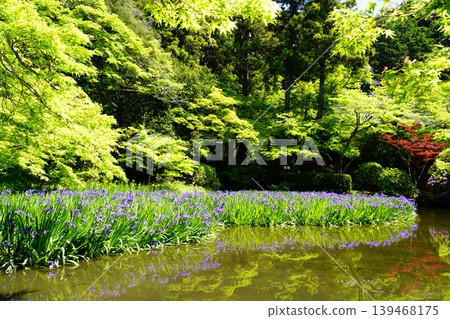 A mountain path, a flowery landscape A mountain path, a flowery landscape 139468175