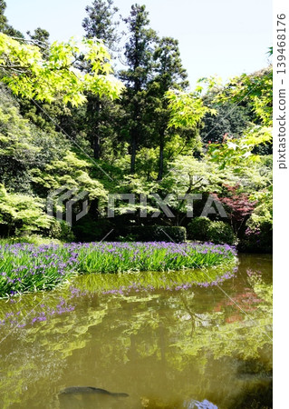 A mountain path, a flowery landscape A mountain path, a flowery landscape 139468176