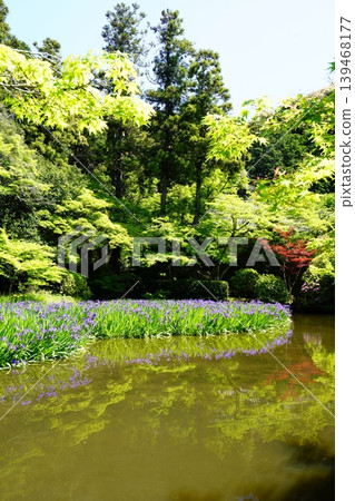 A mountain path, a flowery landscape A mountain path, a flowery landscape 139468177