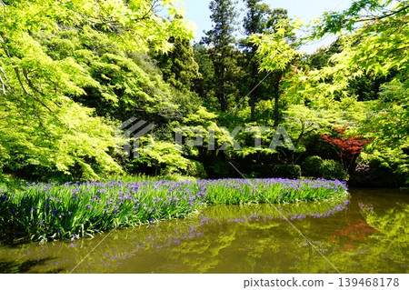 A mountain path, a flowery landscape A mountain path, a flowery landscape 139468178