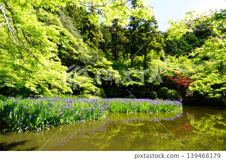 A mountain path, a flowery landscape A mountain path, a flowery landscape 139468179