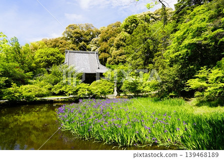 A mountain path, a flowery landscape A mountain path, a flowery landscape 139468189