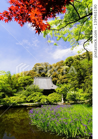 A mountain path, a flowery landscape A mountain path, a flowery landscape 139468190