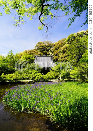 A mountain path, a flowery landscape A mountain path, a flowery landscape 139468192
