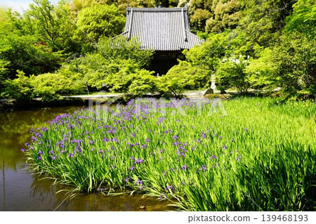 A mountain path, a flowery landscape A mountain path, a flowery landscape 139468193