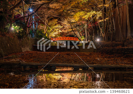 Autumn foliage at Oguni Shrine, Ichinomiya, Totomi Province, Morimachi (Shizuoka Prefecture) Autumn foliage at Oguni Shrine, Ichinomiya, Totomi Province, Morimachi (Shizuoka Prefecture) 139468621