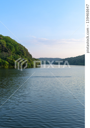 A tranquil lakeside landscape adorned with vibrant new greenery and the scenery of early summer. 139468647