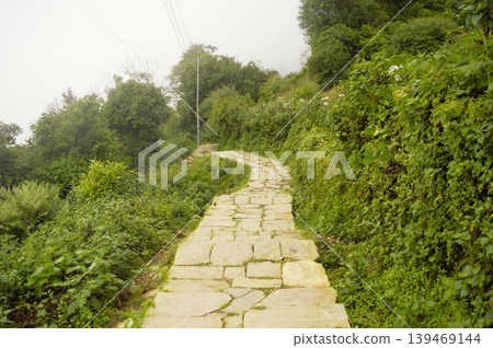 尼泊爾澳洲營地附近的步道 尼泊爾澳洲營地附近的步道 139469144