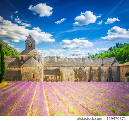 Abbey Senanque and Lavender field, France Abbey Senanque and Lavender field, France 139470871