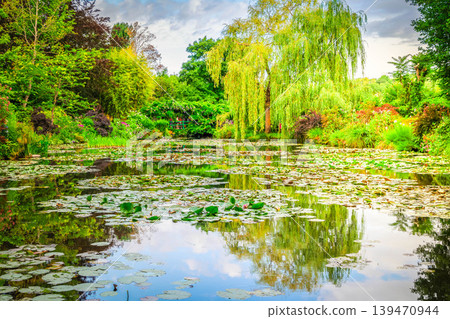 Pond with lilies in Giverny Pond with lilies in Giverny 139470944