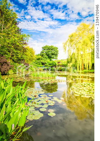 Pond with lilies in Giverny Pond with lilies in Giverny 139470946
