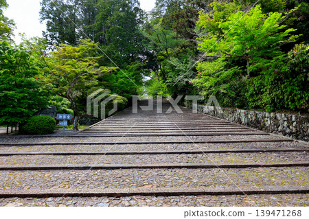 Omotesando, Nishiyama Jodo Sect, Head Temple, Komyoji Omotesando, Nishiyama Jodo Sect, Head Temple, Komyoji 139471268