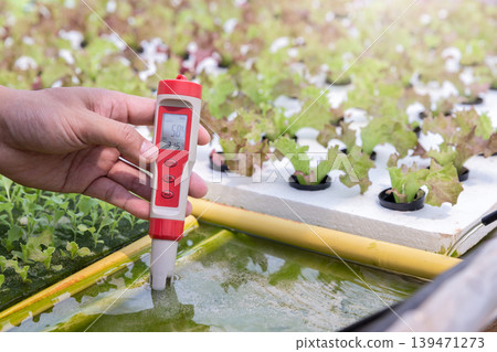 Smart agriculture technology concept - Farmer ckecking water ph value of organic hydroponic plant nursery farm. Smart agriculture technology. Smart agriculture technology concept - Farmer ckecking water ph value of organic hydroponic plant nursery farm. Smart agriculture technology. 139471273
