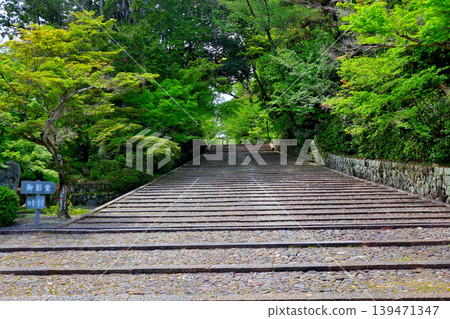Omotesando, Nishiyama Jodo Sect, Head Temple, Komyoji Omotesando, Nishiyama Jodo Sect, Head Temple, Komyoji 139471347