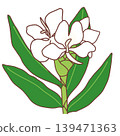 Simple illustration of a sycamore 139471363