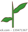 Simple illustration of the leaves and stems of the Hepatica plant. 139471367