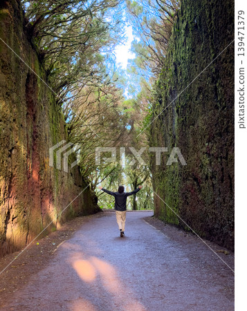 Wild nature of Anaga Wild nature of Anaga 139471379