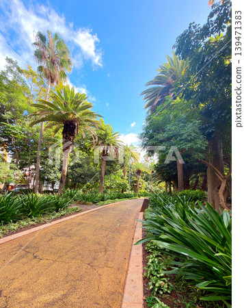 Sunlit tropical garden path lined with towering palm trees and lush foliage, pebble walkway curving through dappled light, tranquil resort atmosphere inviting leisurely stroll Sunlit tropical garden path lined with towering palm trees and lush foliage, pebble walkway curving through dappled light, tranquil resort atmosphere inviting leisurely stroll 139471383