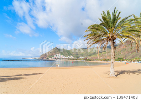 palms of las Teresitas beach, Tenerife, Spain palms of las Teresitas beach, Tenerife, Spain 139471408