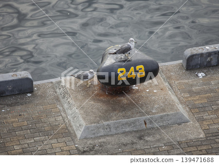Blue mooring posts with numbers on them Blue mooring posts with numbers on them 139471688