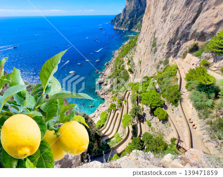 Capri island, Italy 139471859