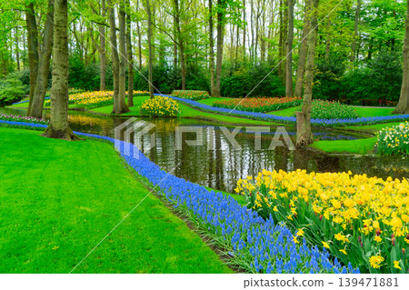 The path through a vibrant tulip garden in full bloom during the delightful spring season is breathtaking The path through a vibrant tulip garden in full bloom during the delightful spring season is breathtaking 139471881