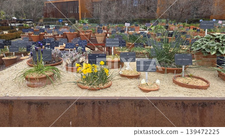 Seedling display of potted bulbs and labeled trays at botanical nursery for gardening background and plant collection poster design Seedling display of potted bulbs and labeled trays at botanical nursery for gardening background and plant collection poster design 139472225