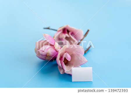 delicate magnolia blossoms with empty label for text on pastel blue delicate magnolia blossoms with empty label for text on pastel blue 139472393