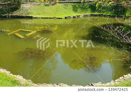A flock of fish in a park pond in spring. Transparent green water with reflection of trees, sunlight and stone shore A flock of fish in a park pond in spring. Transparent green water with reflection of trees, sunlight and stone shore 139472425
