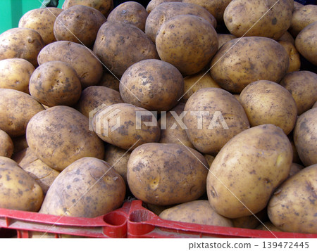 Heap of raw, unpeeled potatoes rests in a red plastic crate at a market. The earthy, brown skins are dusted with light soil, showcasing a fresh, rustic harvest of these essential root vegetables 139472445