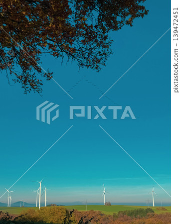 Flock of birds flies over wind turbines under clear autumn sky. Wide landscape creates calm ecological atmosphere Flock of birds flies over wind turbines under clear autumn sky. Wide landscape creates calm ecological atmosphere 139472451