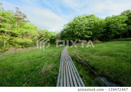 Maruyama Marsh 139472467