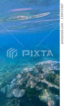 A scenic underwater view showcases a healthy coral reef beneath clear waters. Dauin, Philippines 139472487