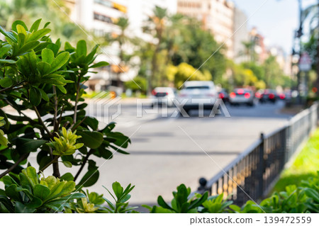 Green Urban Plants With Blurred Traffic In Valencia Green Urban Plants With Blurred Traffic In Valencia 139472559