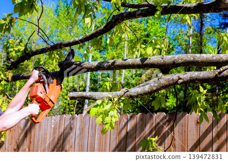 Service worker cuts tree branches with chainsaw in backyard with green leaves near wooden fence Service worker cuts tree branches with chainsaw in backyard with green leaves near wooden fence 139472831
