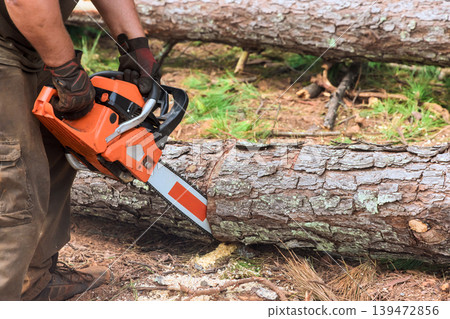 Worker cuts log with chainsaw in forest filled with fallen trees greenery during deforestation Worker cuts log with chainsaw in forest filled with fallen trees greenery during deforestation 139472856