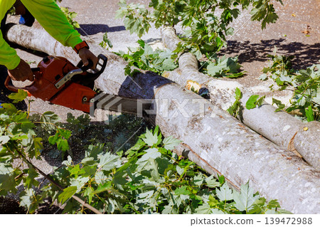 Work man uses chainsaw to cut fallen tree while clearing street after strong tornado storm caused damage. Work man uses chainsaw to cut fallen tree while clearing street after strong tornado storm caused damage. 139472988