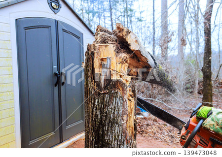 Handyman uses chainsaw to cut down tree stump near shed after hurricane Handyman uses chainsaw to cut down tree stump near shed after hurricane 139473048